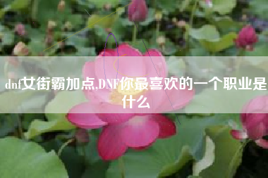 dnf女街霸加点,DNF你最喜欢的一个职业是什么