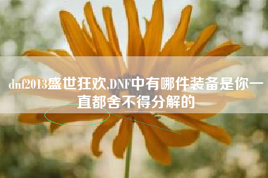dnf2013盛世狂欢,DNF中有哪件装备是你一直都舍不得分解的