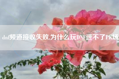 dnf频道接收失败,为什么玩DNF进不了PK场