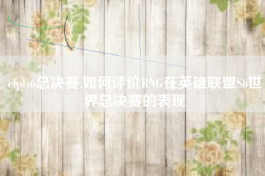 cfpls6总决赛,如何评价RNG在英雄联盟S6世界总决赛的表现
