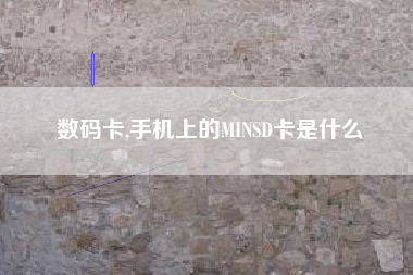 数码卡,手机上的MINSD卡是什么