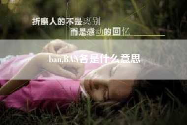 ban,BAN各是什么意思