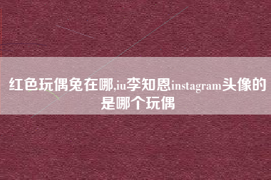 红色玩偶兔在哪,iu李知恩instagram头像的是哪个玩偶