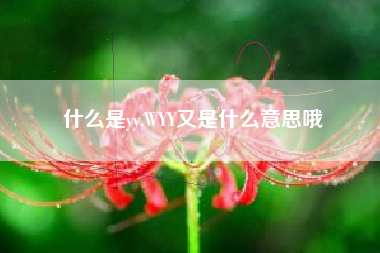 什么是yy,WYY又是什么意思哦