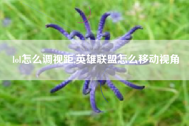 lol怎么调视距,英雄联盟怎么移动视角