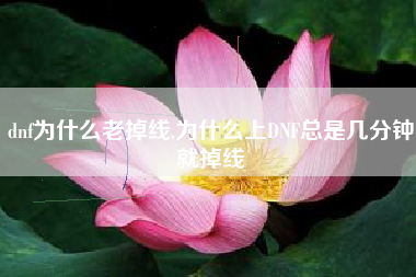 dnf为什么老掉线,为什么上DNF总是几分钟就掉线
