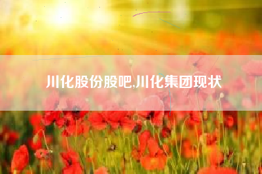 川化股份股吧,川化集团现状