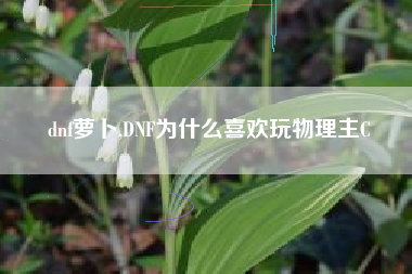 dnf萝卜,DNF为什么喜欢玩物理主C