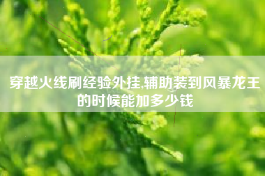 穿越火线刷经验外挂,辅助装到风暴龙王的时候能加多少钱