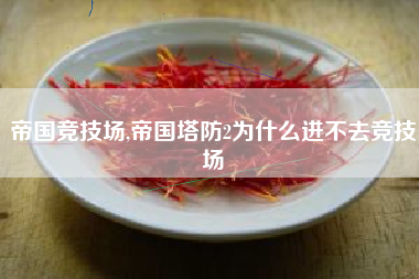 帝国竞技场,帝国塔防2为什么进不去竞技场