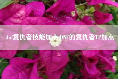 dnf复仇者技能加点,DNF的复仇者TP加点