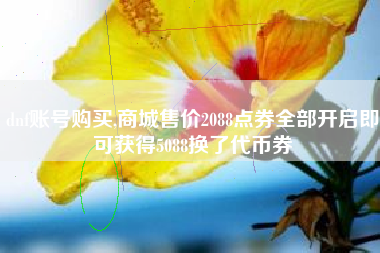 dnf账号购买,商城售价2088点券全部开启即可获得5088换了代币券