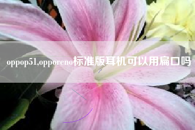 oppop51,opporeno标准版耳机可以用扁口吗