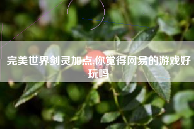 完美世界剑灵加点,你觉得网易的游戏好玩吗