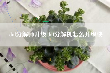 dnf分解师升级,dnf分解机怎么升级快