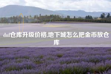 dnf仓库升级价格,地下城怎么把金币放仓库
