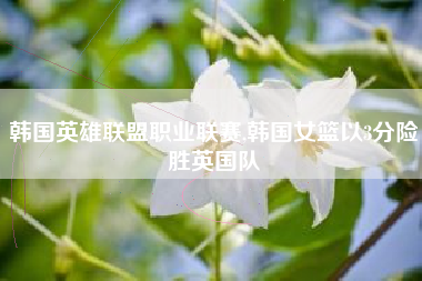 韩国英雄联盟职业联赛,韩国女篮以3分险胜英国队