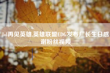 lol再见英雄,英雄联盟EDG发布厂长生日感谢粉丝视频