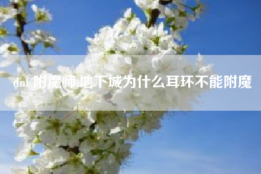 dnf 附魔师,地下城为什么耳环不能附魔