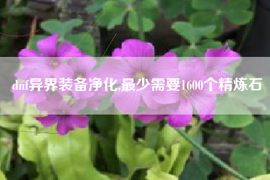 dnf异界装备净化,最少需要1600个精炼石