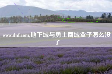 www.dnf.com,地下城与勇士商城盒子怎么没了