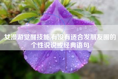 女漫游觉醒技能,有没有适合发朋友圈的个性说说或经典语句