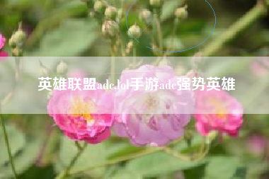 英雄联盟adc,lol手游adc强势英雄