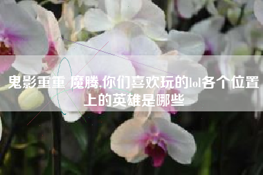 鬼影重重 魔腾,你们喜欢玩的lol各个位置上的英雄是哪些