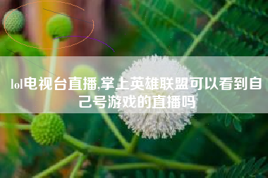 lol电视台直播,掌上英雄联盟可以看到自己号游戏的直播吗