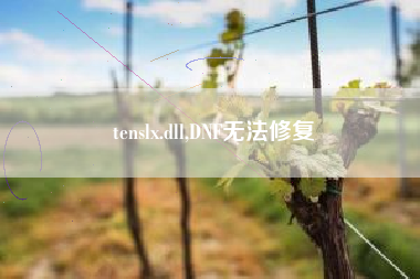 tenslx.dll,DNF无法修复