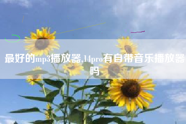 最好的mp3播放器,14pro有自带音乐播放器吗