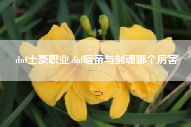 dnf土豪职业,dnf暗帝与剑魂哪个厉害