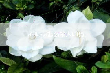 cfcdkey,cf怎么输入kol码