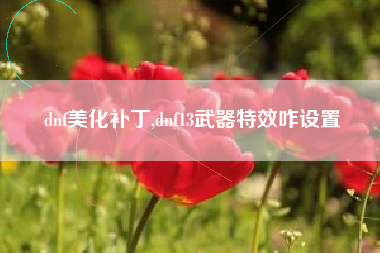 dnf美化补丁,dnf13武器特效咋设置