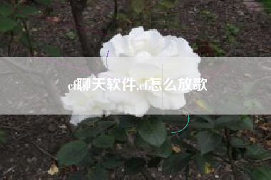 cf聊天软件,cf怎么放歌
