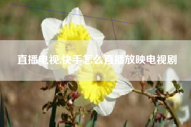 直播电视,快手怎么直播放映电视剧