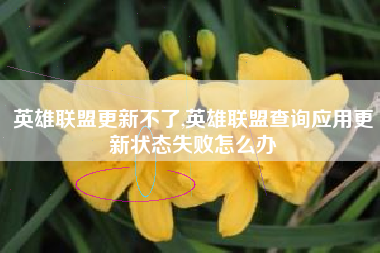 英雄联盟更新不了,英雄联盟查询应用更新状态失败怎么办