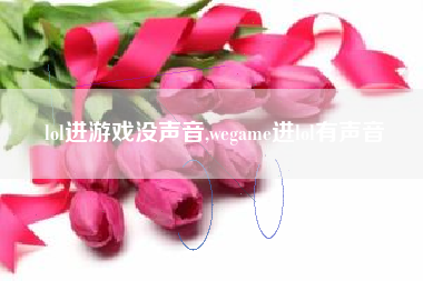 lol进游戏没声音,wegame进lol有声音