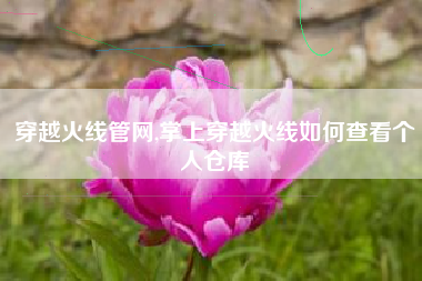 穿越火线管网,掌上穿越火线如何查看个人仓库