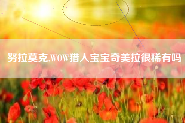 努拉莫克,WOW猎人宝宝奇美拉很稀有吗