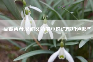 dnf睿智者,又甜又萌的小说你都知道哪些