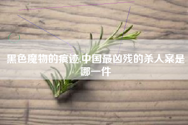 黑色魔物的痕迹,中国最凶残的杀人案是哪一件