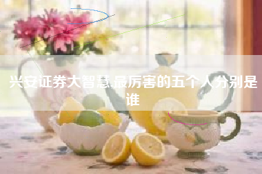 兴安证券大智慧,最厉害的五个人分别是谁