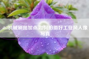 dnf机械刷图加点,如何拍摄好工业风人像写真