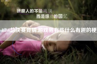 lols6总决赛竞猜,游戏界有些什么有趣的梗