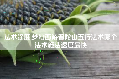法术强度,梦幻西游普陀山五行法术哪个法术施法速度最快