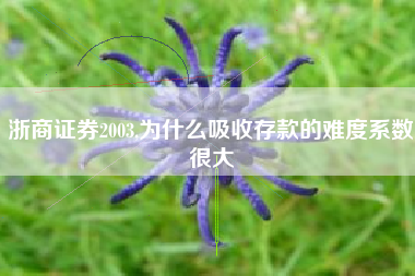 浙商证券2003,为什么吸收存款的难度系数很大