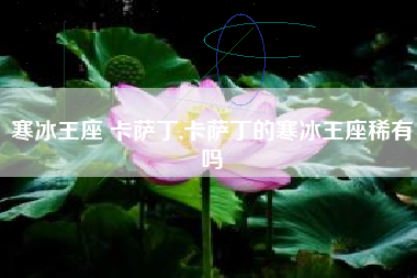寒冰王座 卡萨丁,卡萨丁的寒冰王座稀有吗