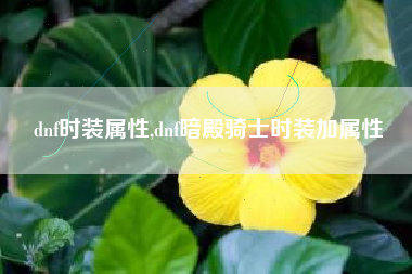 dnf时装属性,dnf暗殿骑士时装加属性