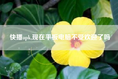 快播apk,现在平板电脑不受欢迎了吗